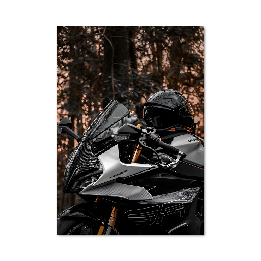 Poster Ride of Legends